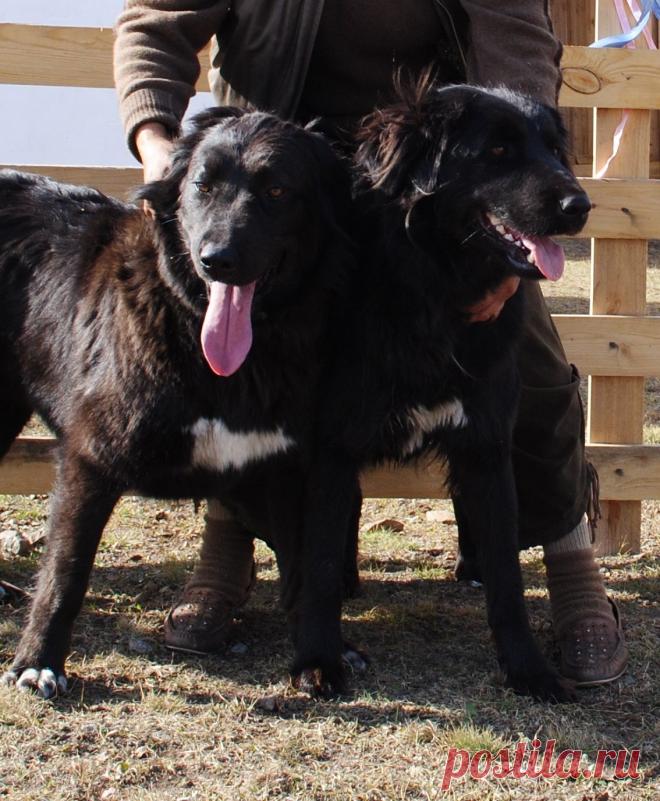 Чарка и Осорка.