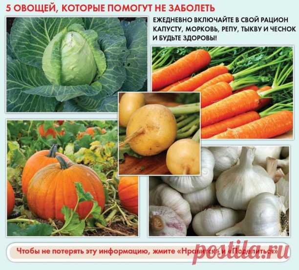 Очень много полезных шпаргалок для кулинара