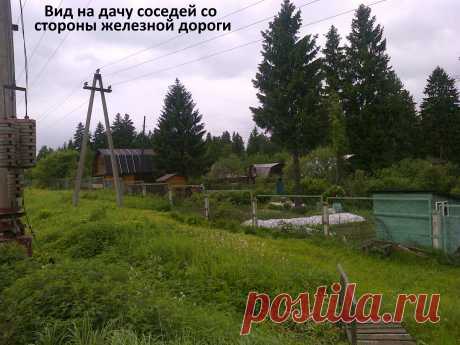 дача соседей...