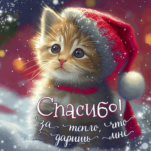 Спасибо за тепло, что ты даришь мне!