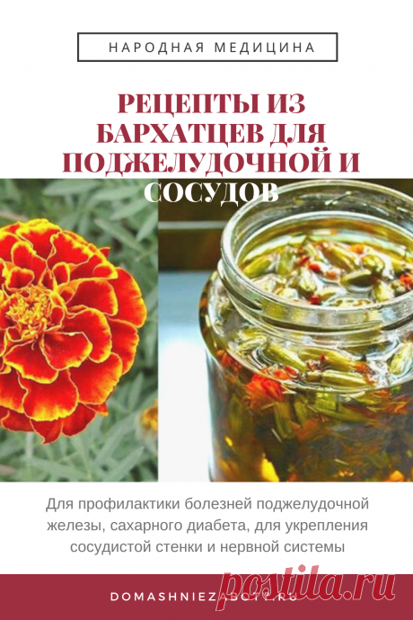 РЕЦЕПТЫ ИЗ БАРХАТЦЕВ ДЛЯ ПОДЖЕЛУДОЧНОЙ И СОСУДОВ — domashniezaboty.ru