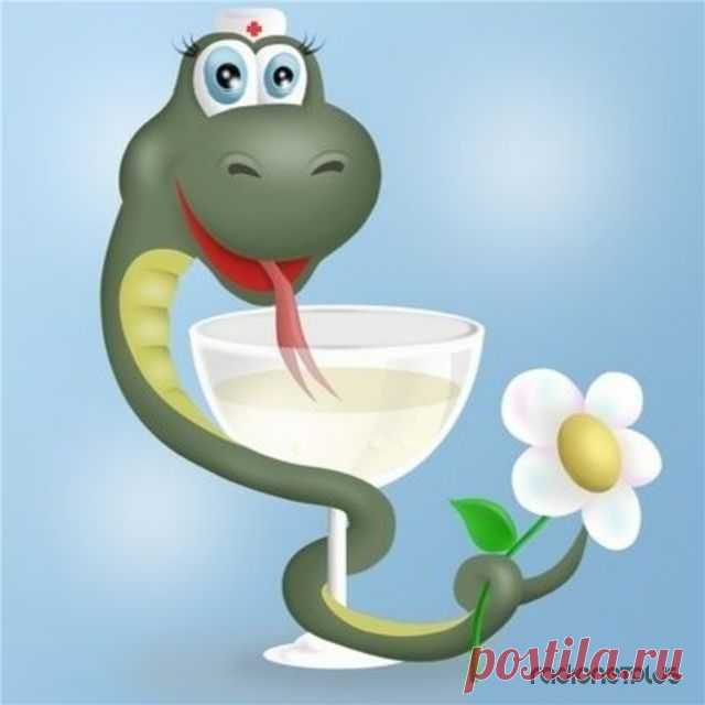 Самые здоровые советы!