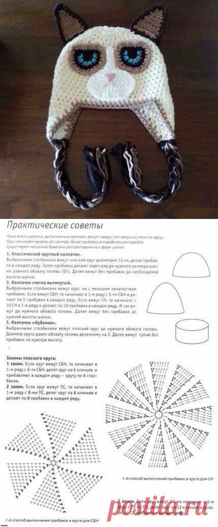 Седитый кот!