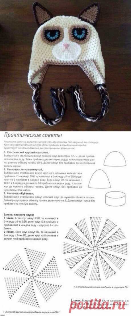Седитый кот!