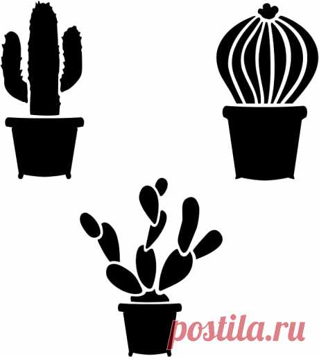 Amazon.com: Plantilla Cactus (10 mil plástico): Home & Kitchen