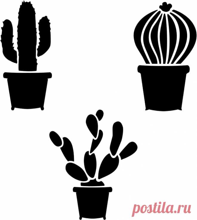 Amazon.com: Plantilla Cactus (10 mil plástico): Home & Kitchen