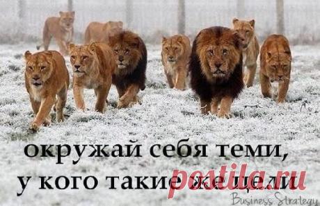Ваше время ограничено, не тратьте его, живя другой жизнью. Не попадайтесь на крючок вероучения, которое существует на мышлении других людей. Не позволяйте взглядам других заглушать свой собственный внутренний голос. И очень важно иметь мужество следовать своему сердцу и интуиции. Они, так или иначе, уже знают, что вы действительно хотите сделать. Все остальное - второстепенно.
автор: Стив Джобс
