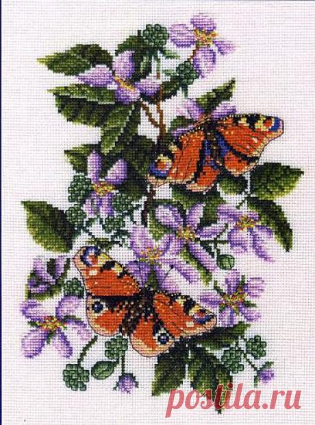 342911118.jpg (367×494)