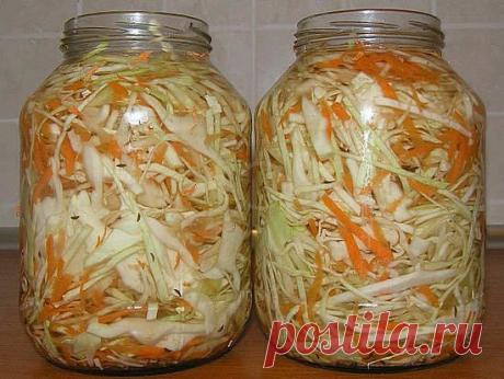 Квашеная капуста: польза и вред продукта
Квашеная капуста, несомненная польза и вред этого продукта при неправильном ее приготовлении, использование ее для похудения