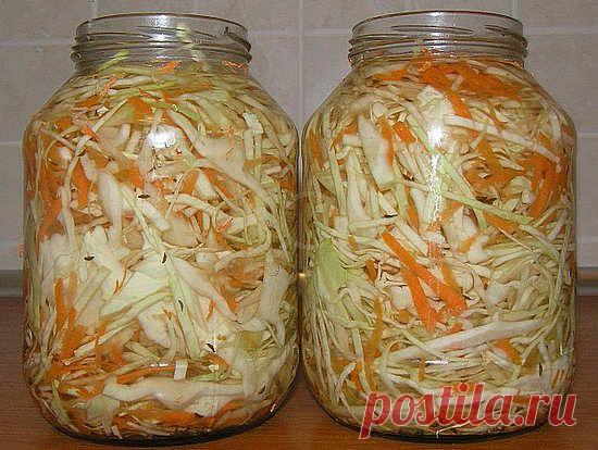 Квашеная капуста: польза и вред продукта
Квашеная капуста, несомненная польза и вред этого продукта при неправильном ее приготовлении, использование ее для похудения