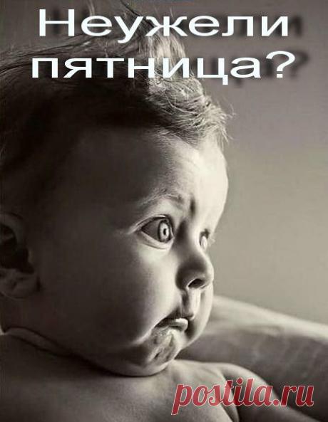 Пятничные анекдоты - rastimul.com.ua