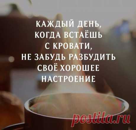 Жизненная мудрость