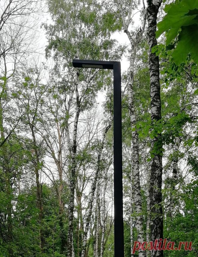 Стервятник социальных сетей (@SpiritOfSiberia) / Twitter