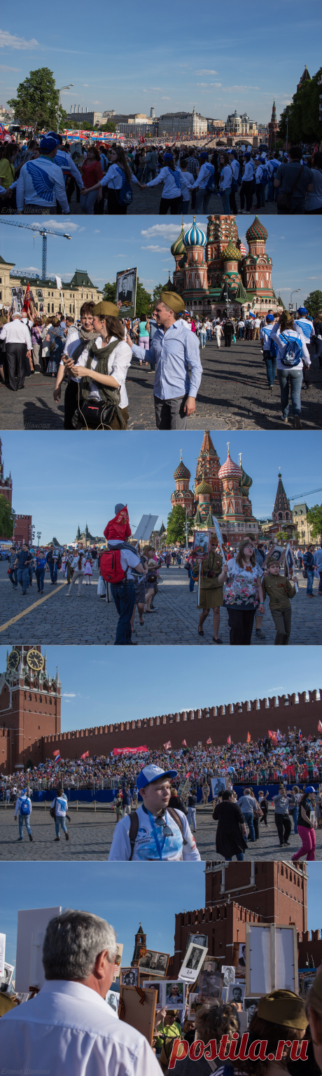 Александр Твардовский: matilda_i_ja