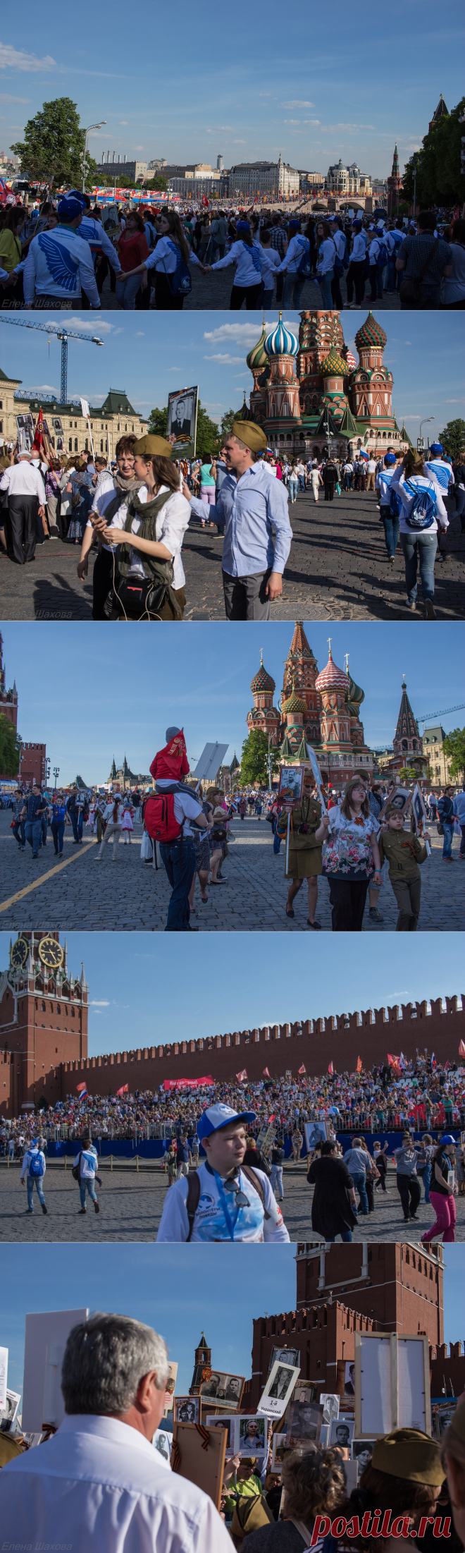 Александр Твардовский: matilda_i_ja