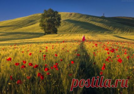 Google+ Тоскана