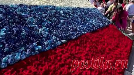 VID_20220612_115650_699.mp4