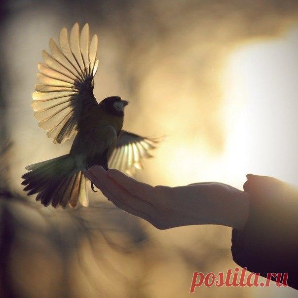 Простое правило... - Откровенный разговор - Группы Мой Мир