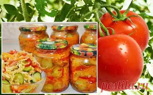 Салат Дунайский, три варианта приготовления | Мир растений