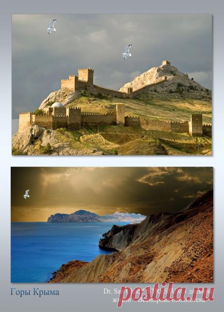 Др наук Сан Чад * История Античной Украины – 92 фотографии