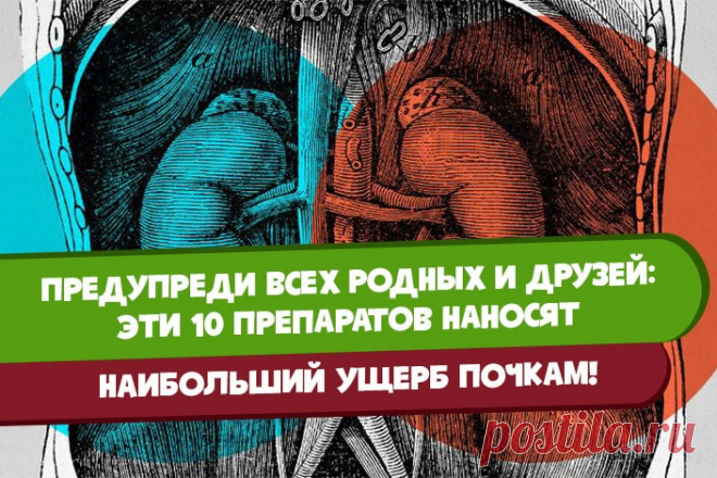 Предупреди всех родных и друзей: эти 10 препаратов наносят наибольший ущерб почкам! - Советки всем!