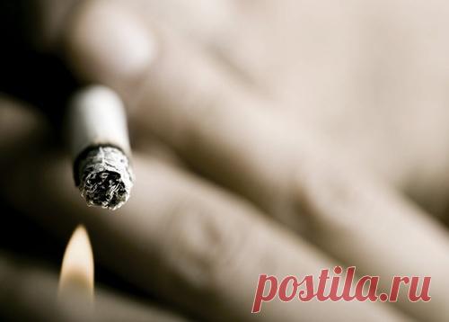 Чушь табачья. Правда о курении, которая неудобна всем