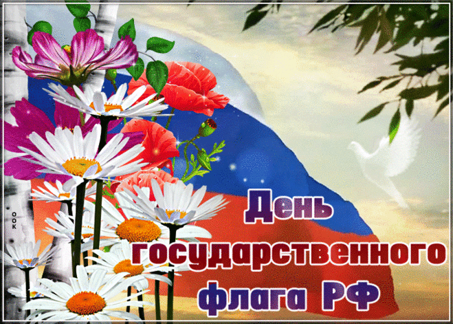 Наша гордость, наша слава —
Мощный русский триколор,
Главный символ всей державы
От Курил до южных гор.
С Днем флага РФ!