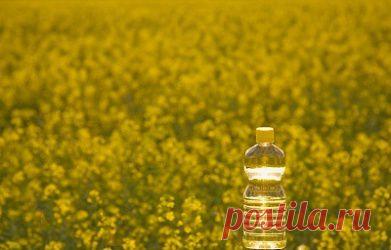 Ритуал по изгнанию жира