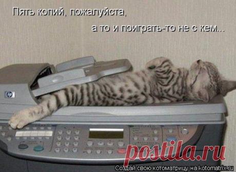 Новости