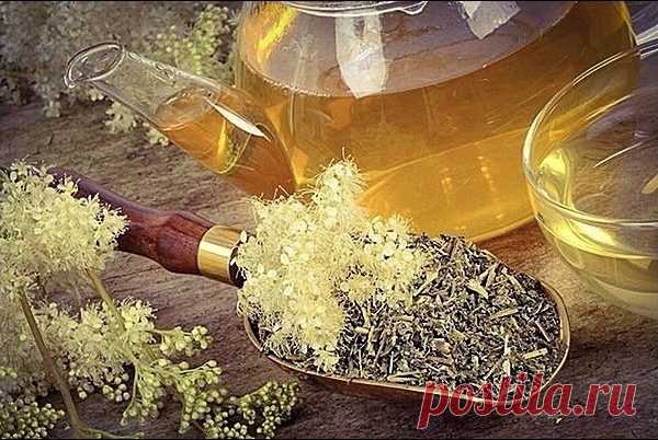 Рецепты из Таволги
Базовый чай из таволги: возьмите 1-2 ч. л. сушеных цветков на кружку кипятка, выдержите 10 мин. Пейте маленькими глотками не более 2 порций в день.

Лимонный настой: положите в кастрюлю 6-8 цветков, 12 ст. л. воды, 12 ст. л. сахара. У 2 лимонов натрите цедру и выжмите, добавьте в кастрюлю. Доведите до кипения, томите на огне 10 мин, разлейте по герметично закрытым емкостям, поместите в прохладное место. Для приема 2 ст. л. настоя растворите в кружке воды...