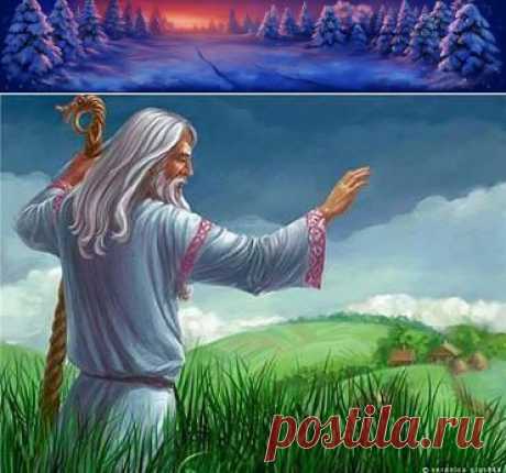 (77) Одноклассники