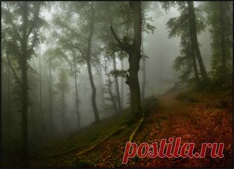 Фото дня на «Фото.Сайте»
Автор: Владимир Метцгер

Другие работы автора: www.photosight.ru/users/478923/