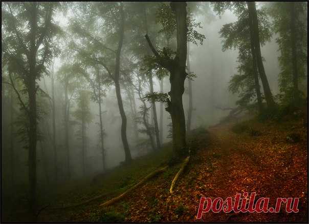Фото дня на «Фото.Сайте»
Автор: Владимир Метцгер

Другие работы автора: www.photosight.ru/users/478923/