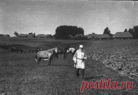 Leo Tolstoy  |  Pinterest • Всемирный каталог идей