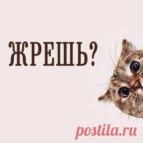 fb888c01.jpg (Изображение JPEG, 564 × 564 пикселов)