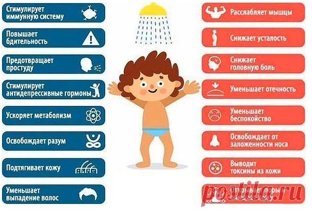 52 шпаргалки, которые вы точно захотите сохранить