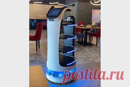 В ресторане Челябинска появился робот-официант. Робот-официант, стилизованный под кота, появился в одном из местных ресторанов Челябинска. В «Гриль Хаусе» гостей помогает обслуживать робот-официант, который приветствует посетителей и собирает заказы, после чего отправляется их забирать с кухни. У гаджета есть четыре разноса.