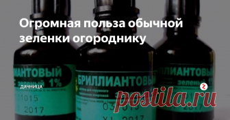 Огромная польза обычной зеленки огороднику Обычная зеленка помогает огородникам избежать многих проблем. Она отлично справляется со многими болезнями, стимулирует рост. При незначительных повреждениях, способна заменить садовый вар. В чем же ее польза для огорода? Ниже я отвечу на этот вопрос.
- Клубника. Растворите в 10 л. воды 5 мл. зеленки. Опрыскиваем этим составом растения во время цветения. Через 10 дней повторить обработку. Это  уни