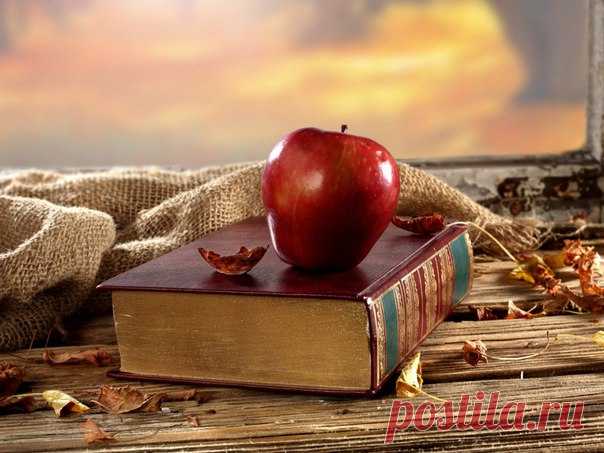 Эти строки следует перечитывать как минимум, раз в неделю!

Регина Бретт в свои 90 лет составила 45 уроков, которые преподала жизнь.

1. Если сомневаешься, сделай шаг вперед.
2. Жизнь несправедлива, но все же хороша.
3. Жизнь слишком коротка, чтобы тратить её на ненависть.
4. Работа не позаботится о тебе, когда ты болеешь. Это сделают твои друзья и родители. Береги эти отношения.
5. Каждый месяц оплачивай долги по кредиткам.
6. Не обязательно выигрывать в каждом споре. Сог...