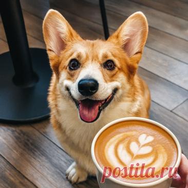 У Гриши - OGADANIE.RU