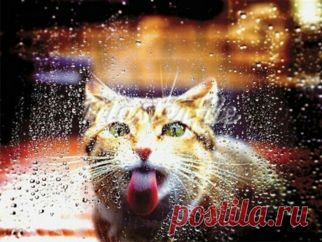 morevalru: дождь - это романтично!