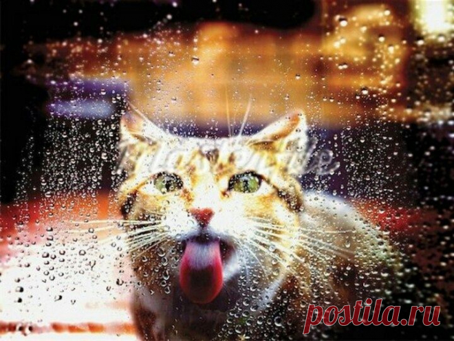 morevalru: дождь - это романтично!