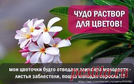 Учебник хозяйки