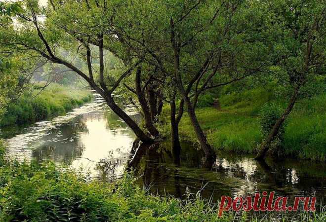 Русское раздолье.