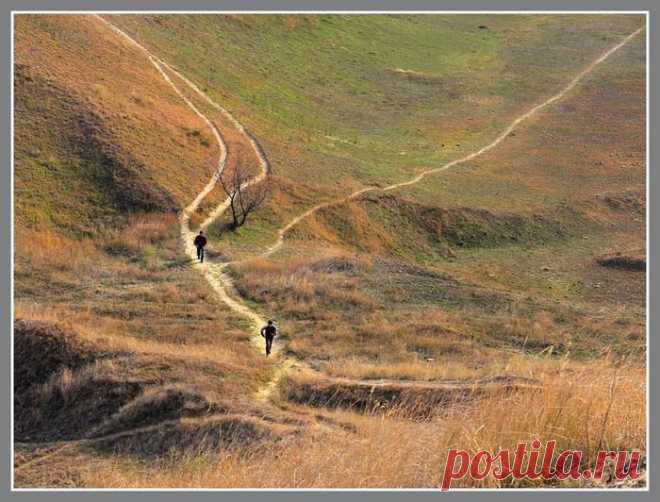 дороги, которые мы выбираем.... Каждый идет своим путем. Но все дороги все равно идут в никуда. Значит, весь смысл в самой дороге, как по ней идти... Если идешь с удовольствием, значит, это твоя дорога. Если тебе плохо – в любой момент можешь сойти с нее, как бы далеко ни зашел. И это будет правильно.

(c) Карлос Кастанеда