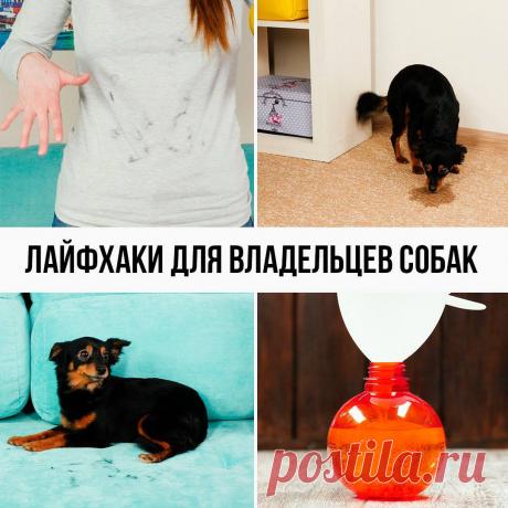 Фабиоса - Полезные лайфхаки, которые упростят совместную жизнь с...