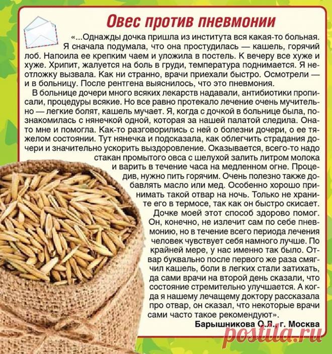 Овес против пневмонии