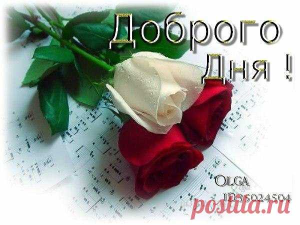 ДОБРОГО ДНЯ!
НАСТРОЕНИЕ. МИЛО. ПРИВЕТ. ХОРОШЕГО ДНЯ. 
ОТПРАВИТЕЛЬ МАРИ!