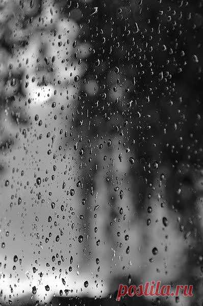 Дождь в сером