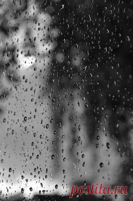 Дождь в сером